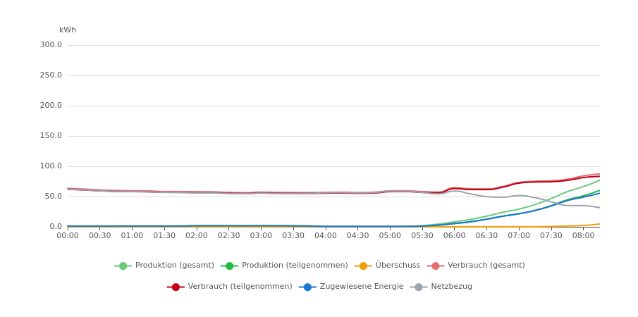 Typischer Tagesverlauf von 0 bis 8 Uhr: Verbrauch aus dem Netz, ab dem Morgen steigt die Erzeugung